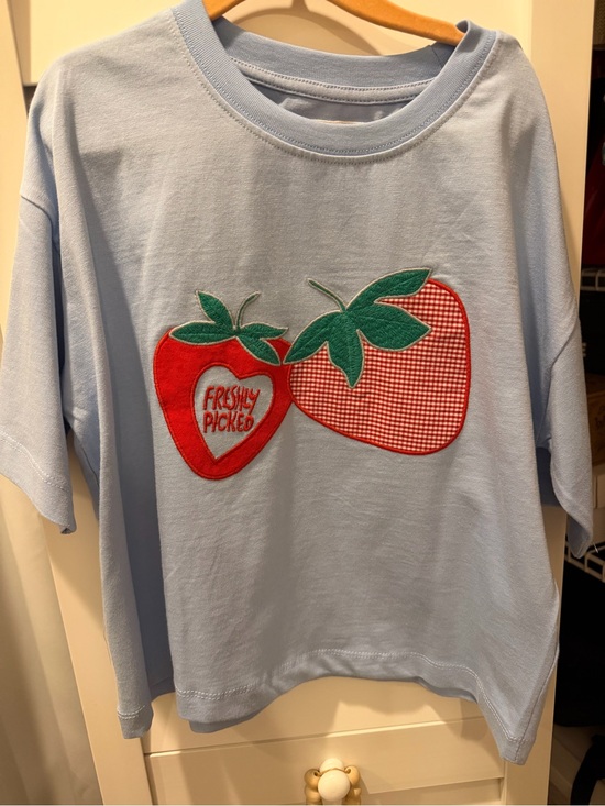 Zara Other - Zara Girls NWOT Light Blue Tee with Red Strawberry Appliqué